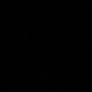 Meet your Posher, Abigail